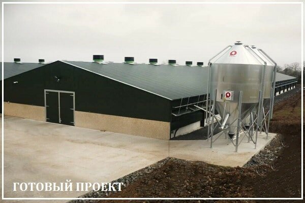Этапы возведения птицефабрики от завода ВелесТент-врф